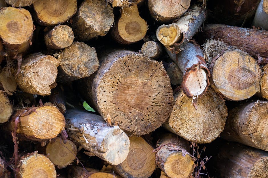 Free Firewood, Seasoned - photo 2