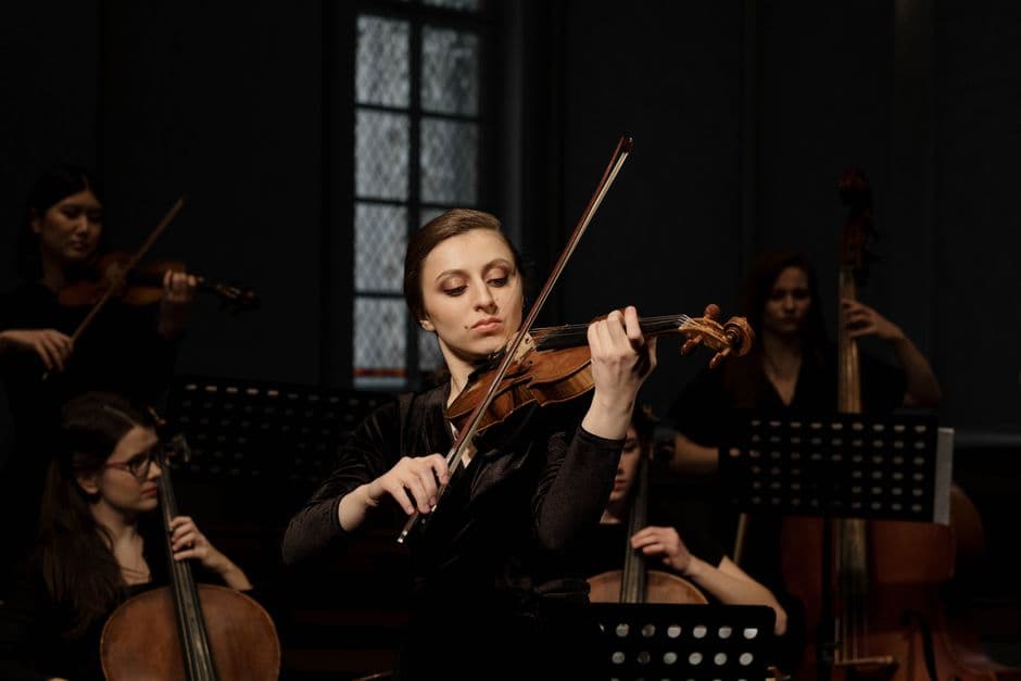 4/4 Student Violin Outfit - photo 2