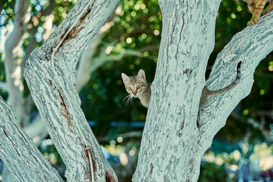 Cat Tree Tower, 5ft - photo 2