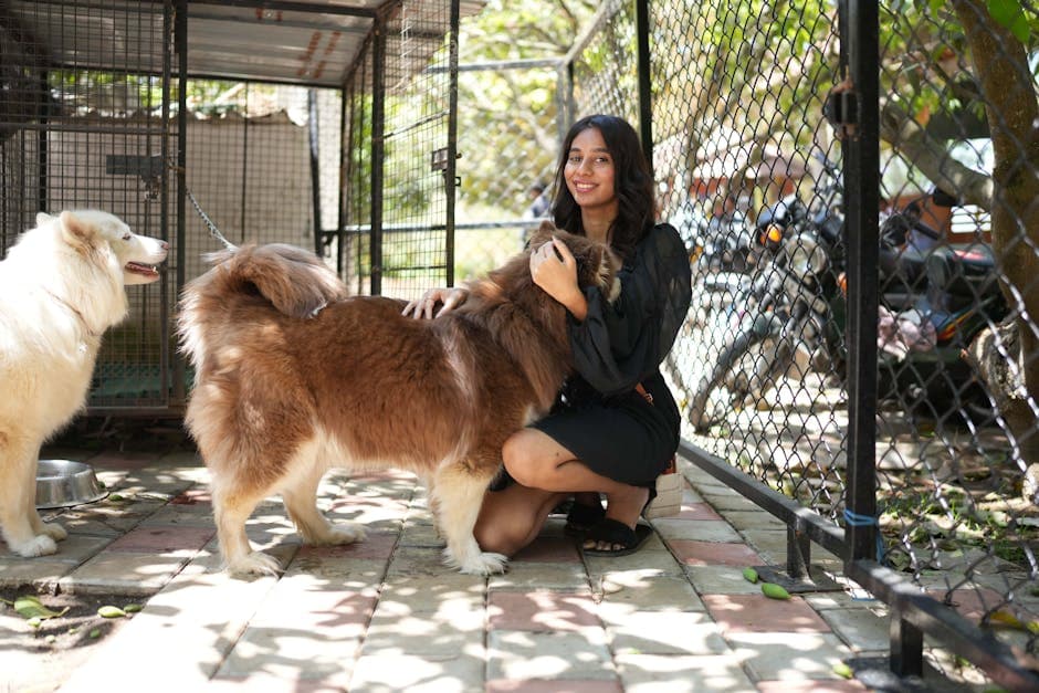 Heavy-Duty Dog Run Panels - photo 2