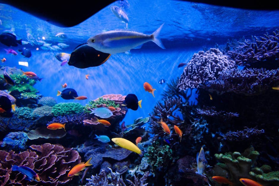 55-Gallon Aquarium with Stand - photo 2