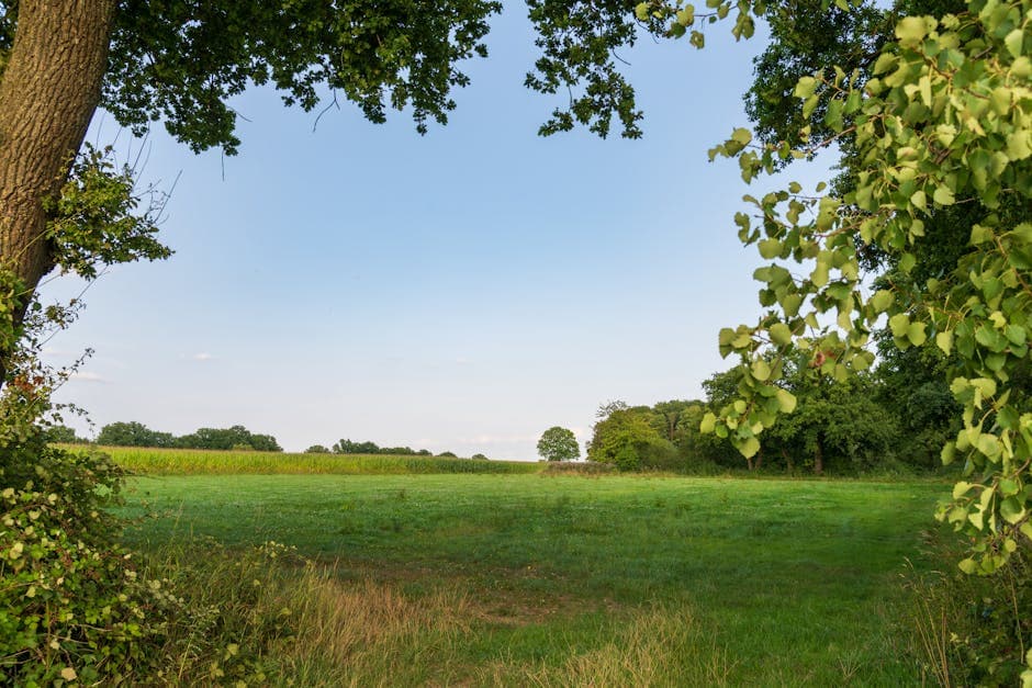5-Acre Buildable Land - photo 2