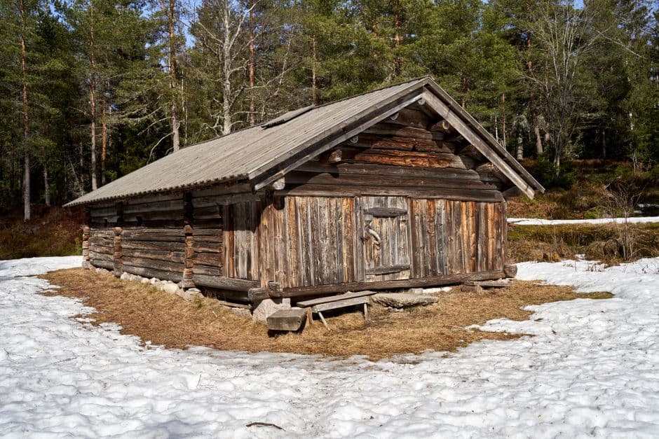 Mountain View Cabin - photo 3