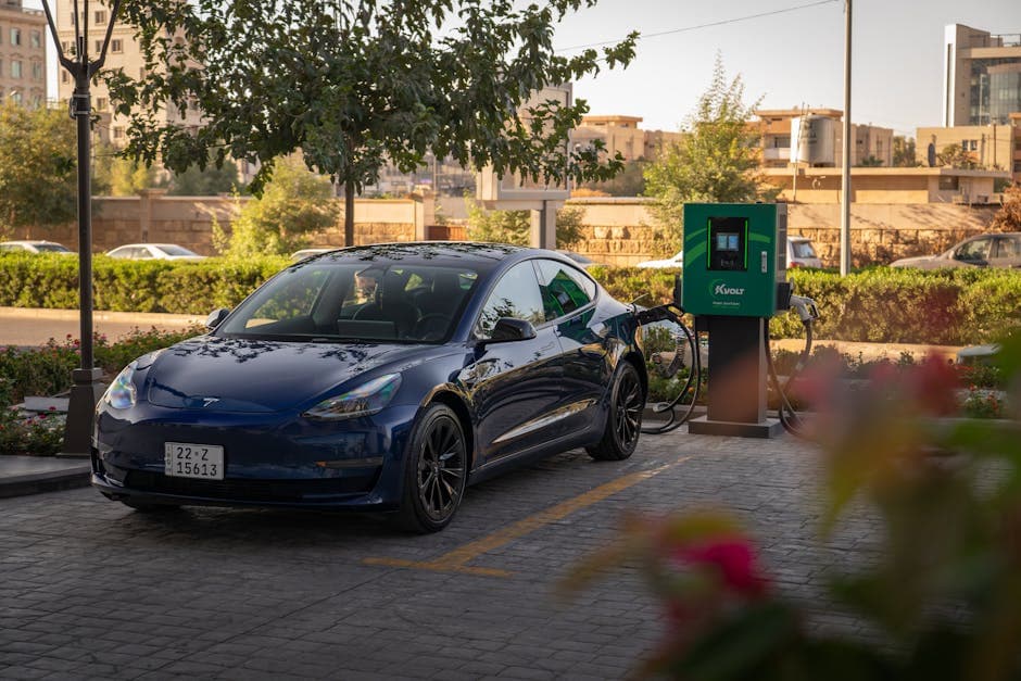 2021 Tesla Model 3 - photo 3